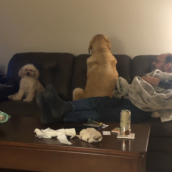 POSH AMBASSADOR 2 & suggested user.. 😊 - Picture 7 of 17